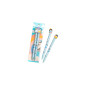 Sharing Pen PenguinBuddies - Set 2 penne a sfera -blu