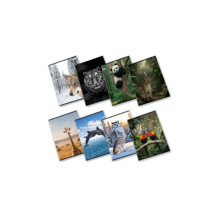 Maxiquaderno WILD - 40 Fogli da 80 gr - Copertine Assortite Soggetti Animali Wild
