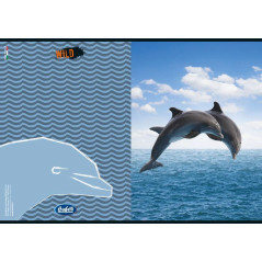 Maxiquaderno WILD - 40 Fogli da 80 gr - Copertine Assortite Soggetti Animali Wild