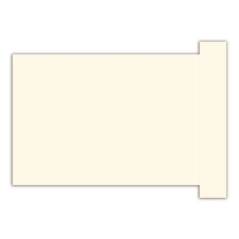 Scheda a T, indice 3 - Scheda bianca - 12x9,25 cm