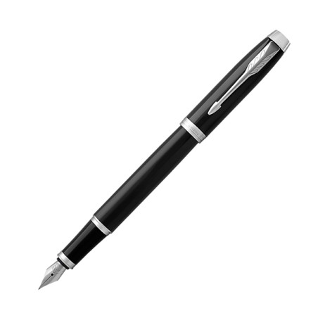 Penna Stilografica IM CT - Punta M