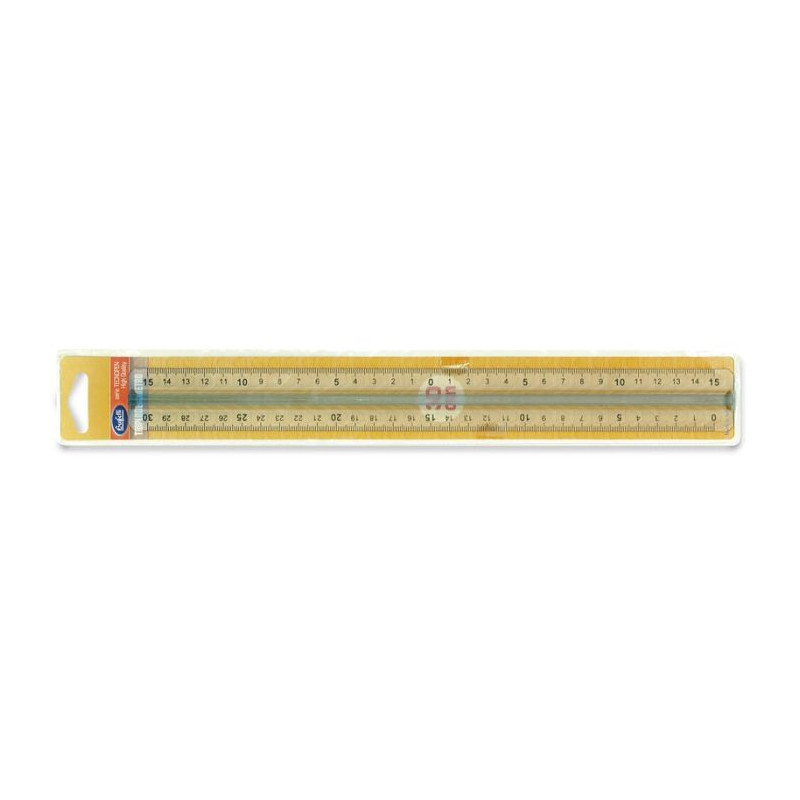 Triplodecimetro Tecnopen 30 Cm