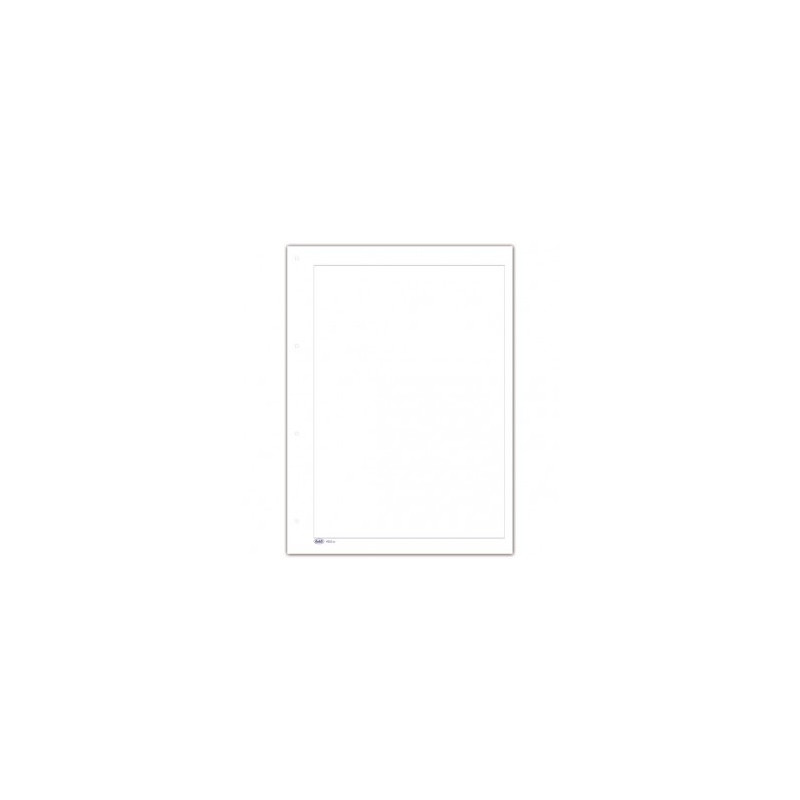 Foglio mobile senza tracciato per verbali - modulo laser con cornice fronte/retro