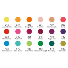 Set 18 demi-godet + pennello brush colori classici DOM