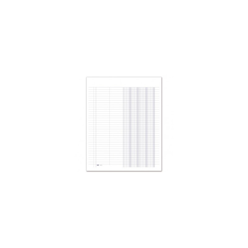 Registro Giornale a 42 colonne 100pg 31x24,5 Cm