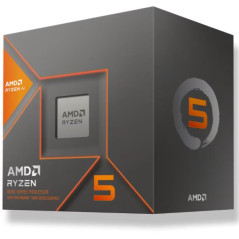 AMD RYZEN 5 8600G BOX