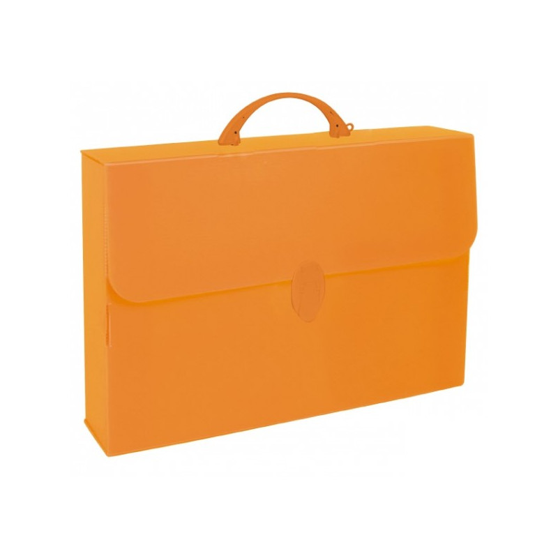 Valigetta portadisegni - polionda - 27,5x37,5 cm - dorso 8 cm - colori assortiti